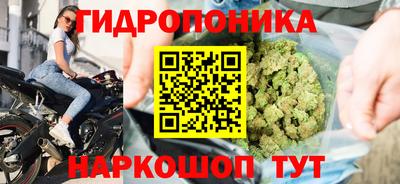Альфа ПВП Обь