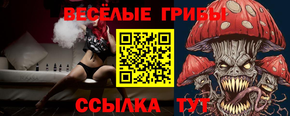Галлюциногенные грибы Psilocybine cubensis Фрязино